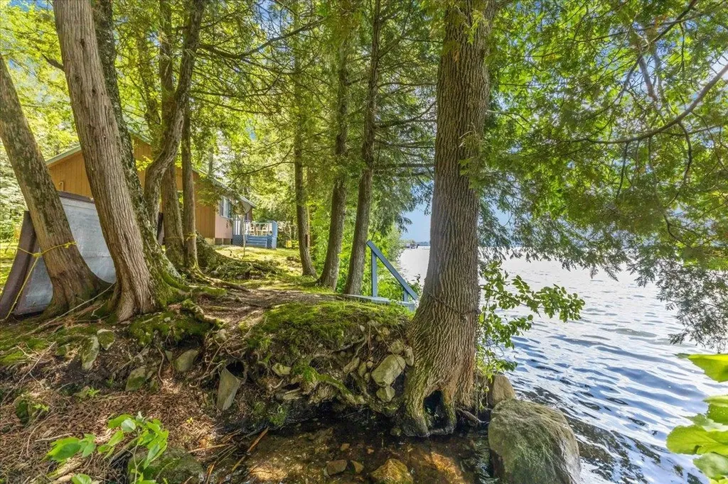 306 Hammond Shore Road Franklin VT 05457