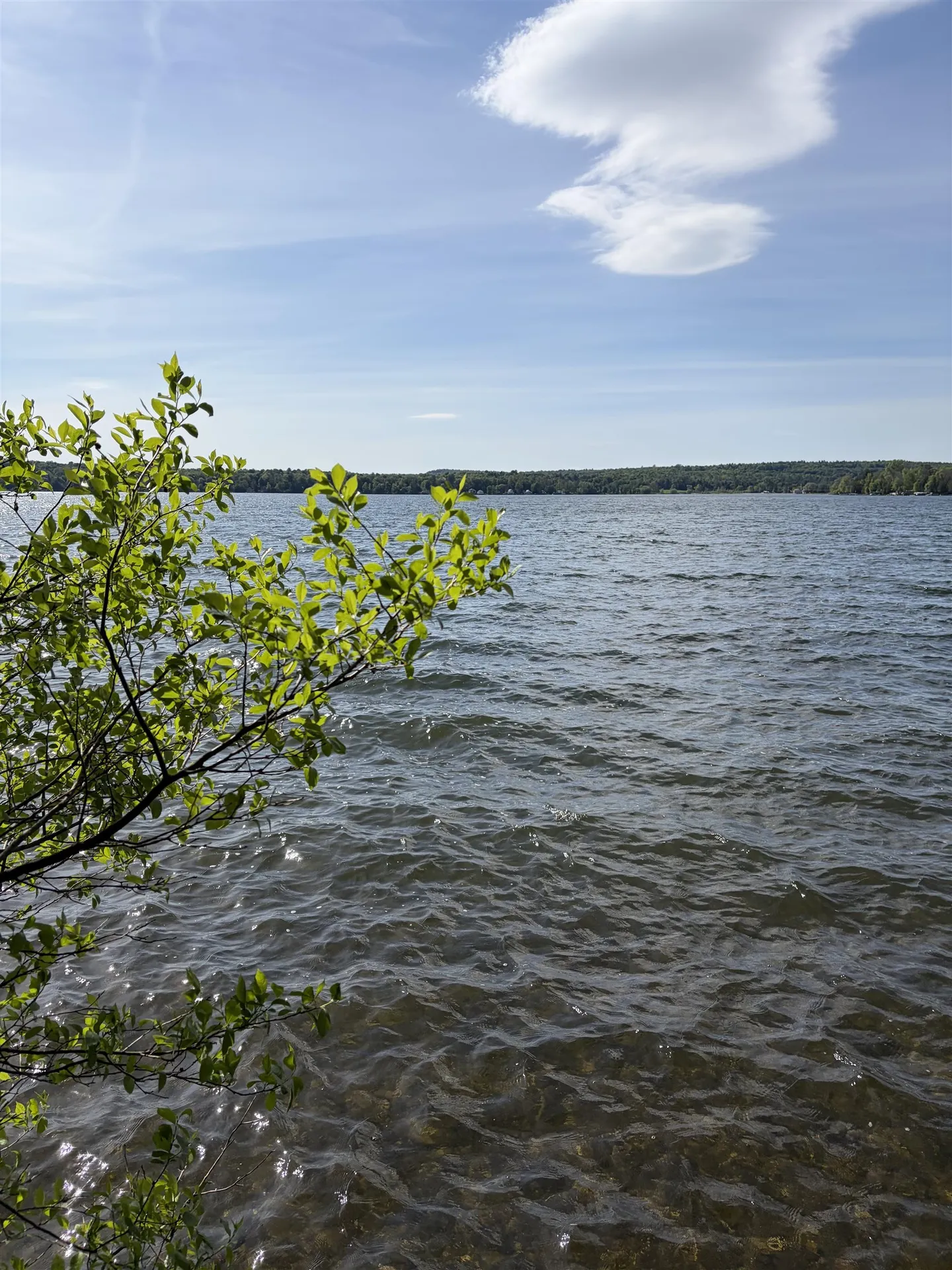 306 Hammond Shore Road Franklin VT 05457
