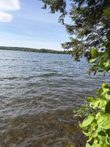 306 Hammond Shore Road Franklin VT 05457