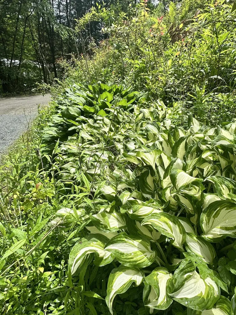 4 Reservoir Road Brattleboro VT 05301