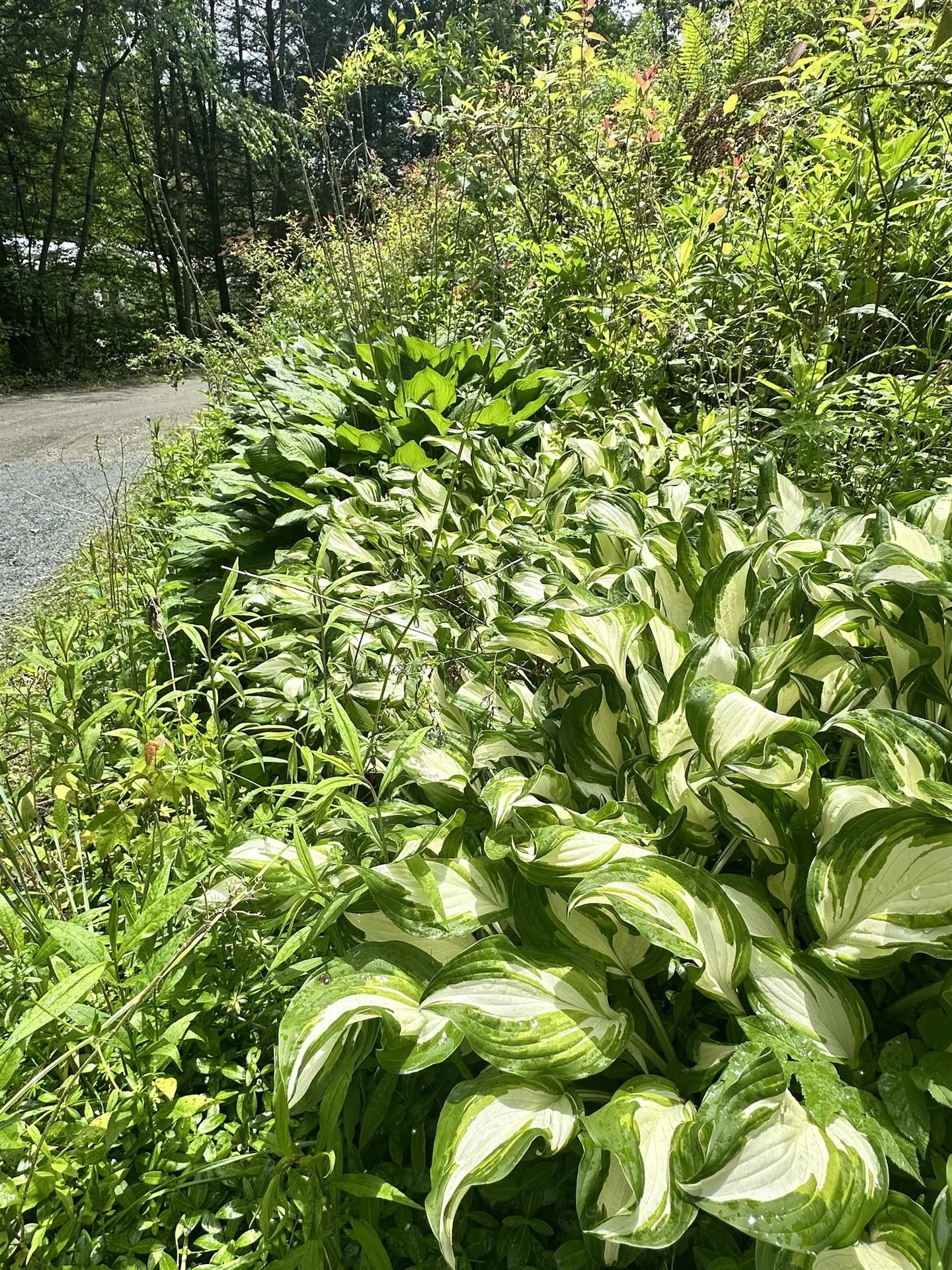 4 Reservoir Road Brattleboro VT 05301