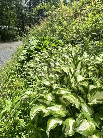4 Reservoir Road Brattleboro VT 05301
