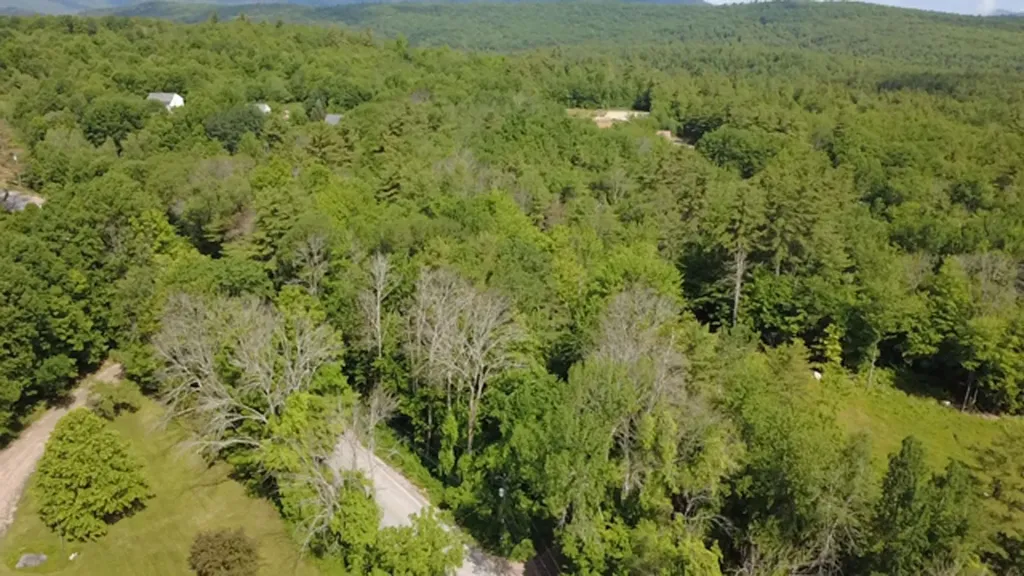 5 Brian Road Ossipee NH 03864