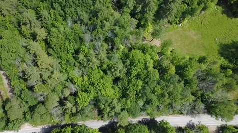 5 Brian Road Ossipee NH 03864