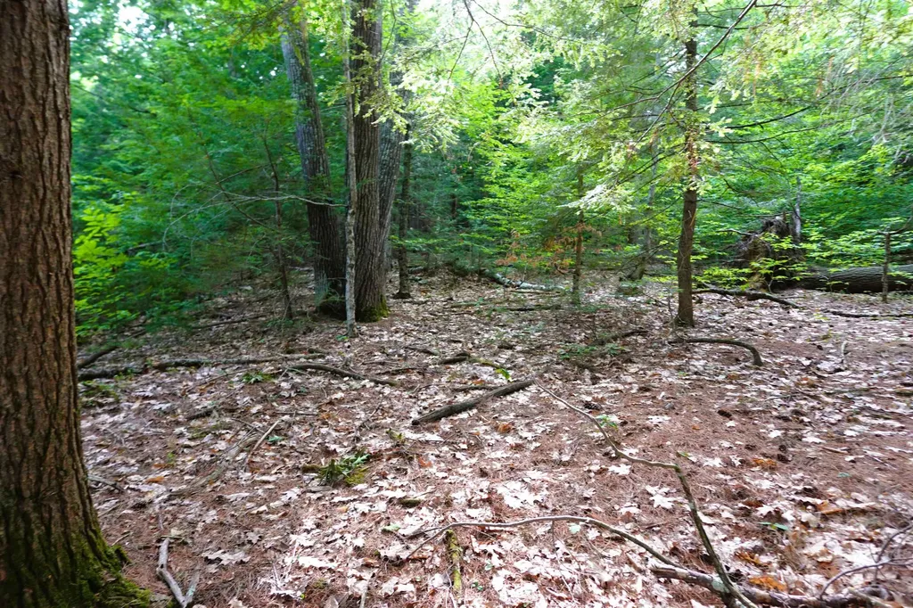 00 Forrest Drive Marlborough NH 03455