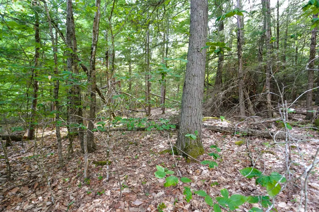 00 Forrest Drive Marlborough NH 03455