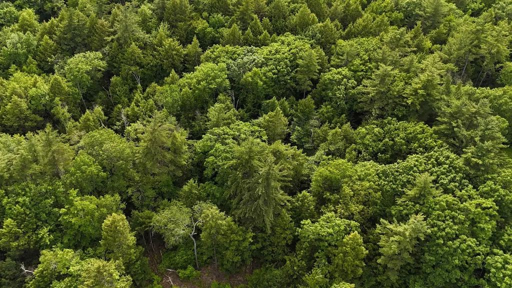 00 Forrest Drive Marlborough NH 03455