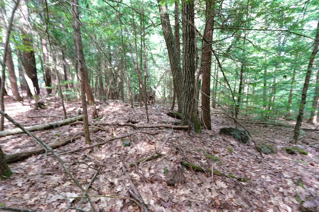00 Forrest Drive Marlborough NH 03455