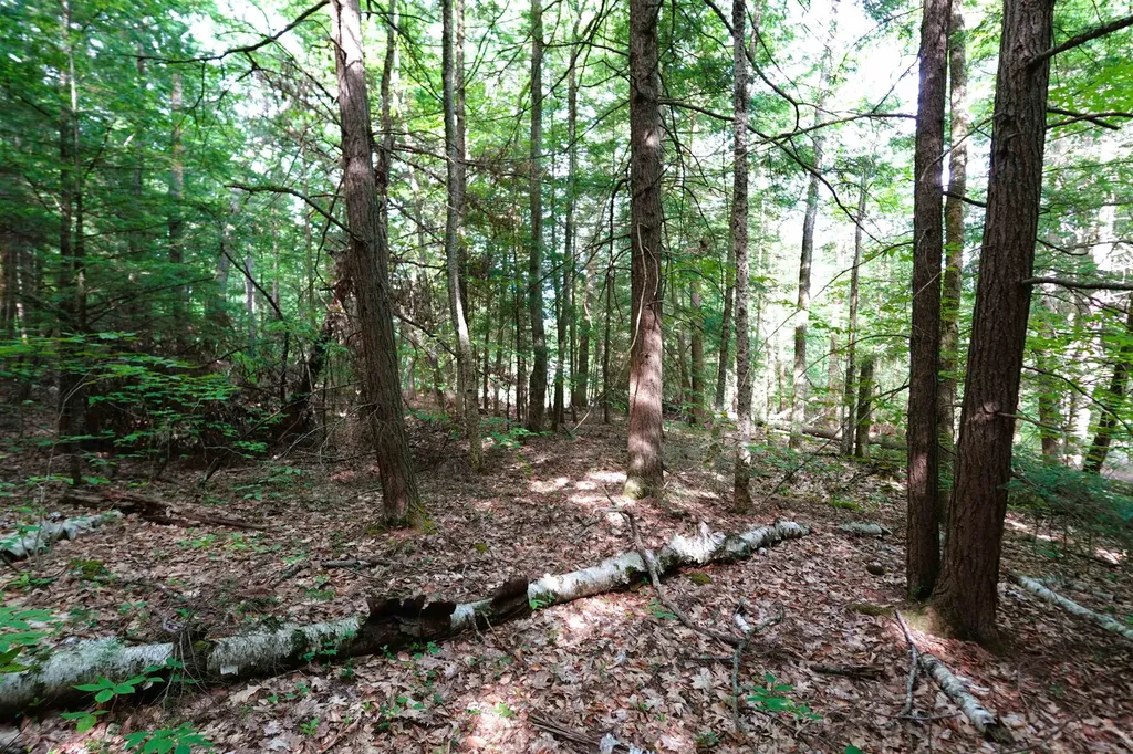 00 Forrest Drive Marlborough NH 03455