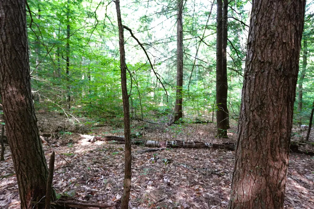 00 Forrest Drive Marlborough NH 03455