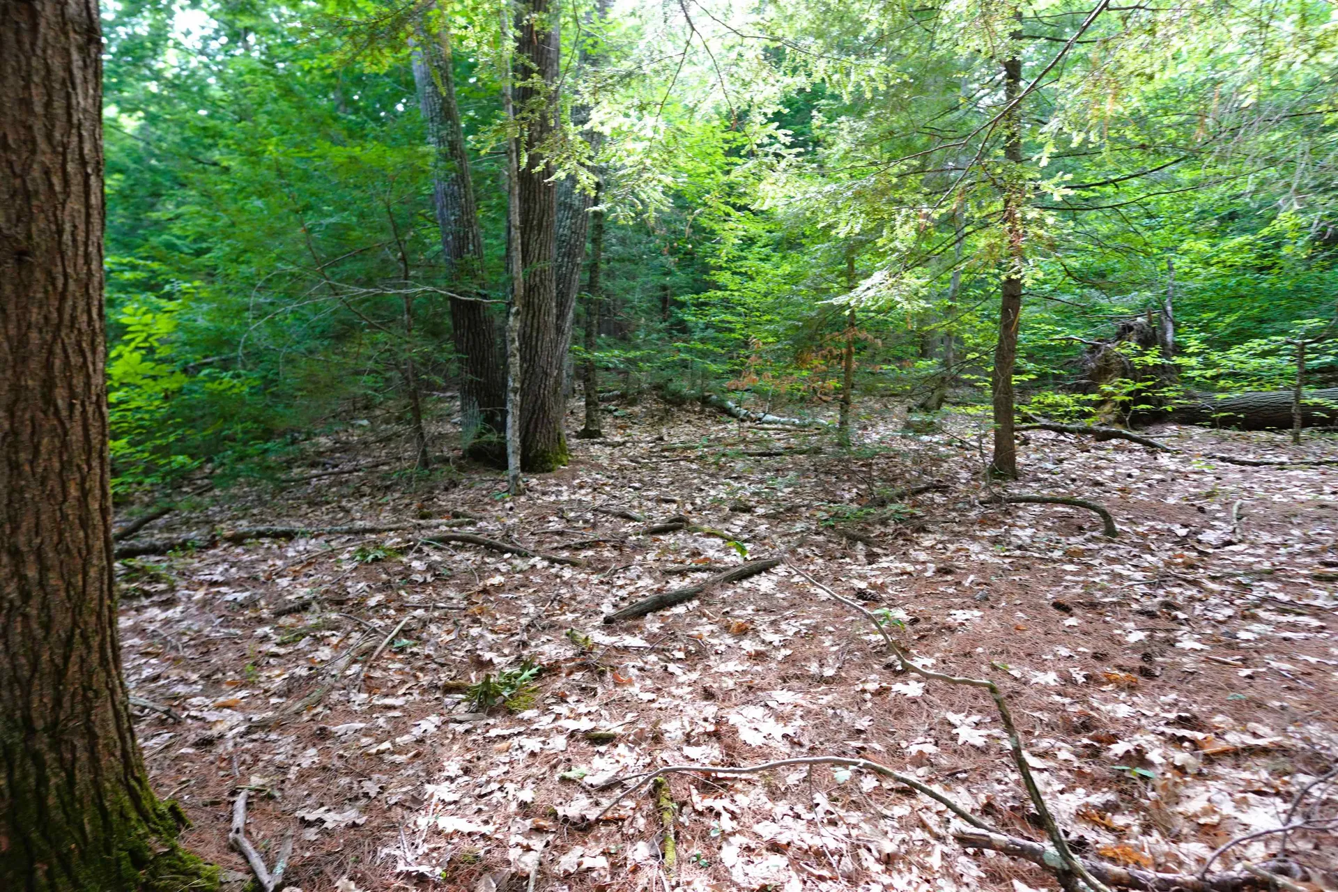 00 Forrest Drive Marlborough NH 03455