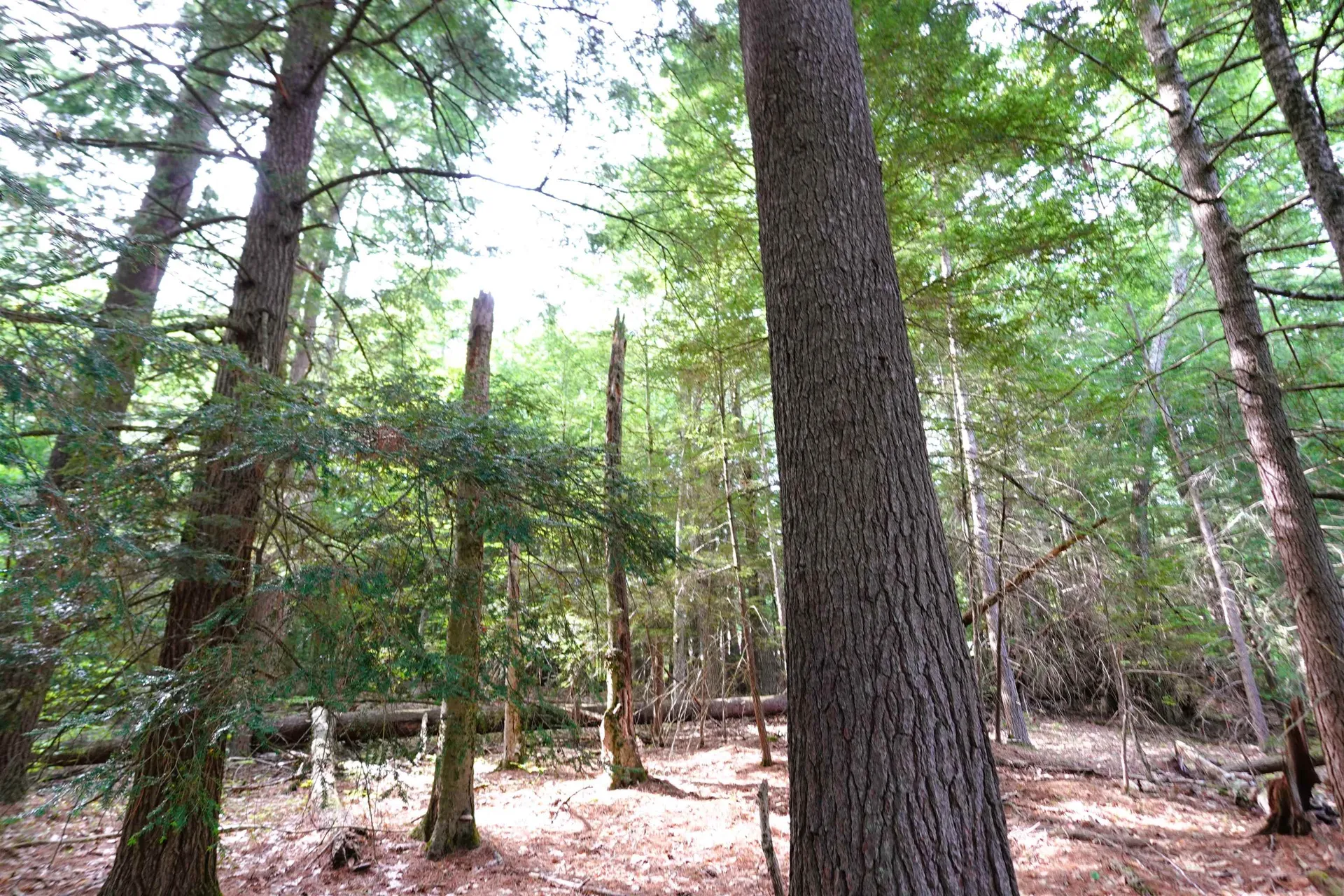 00 Forrest Drive Marlborough NH 03455