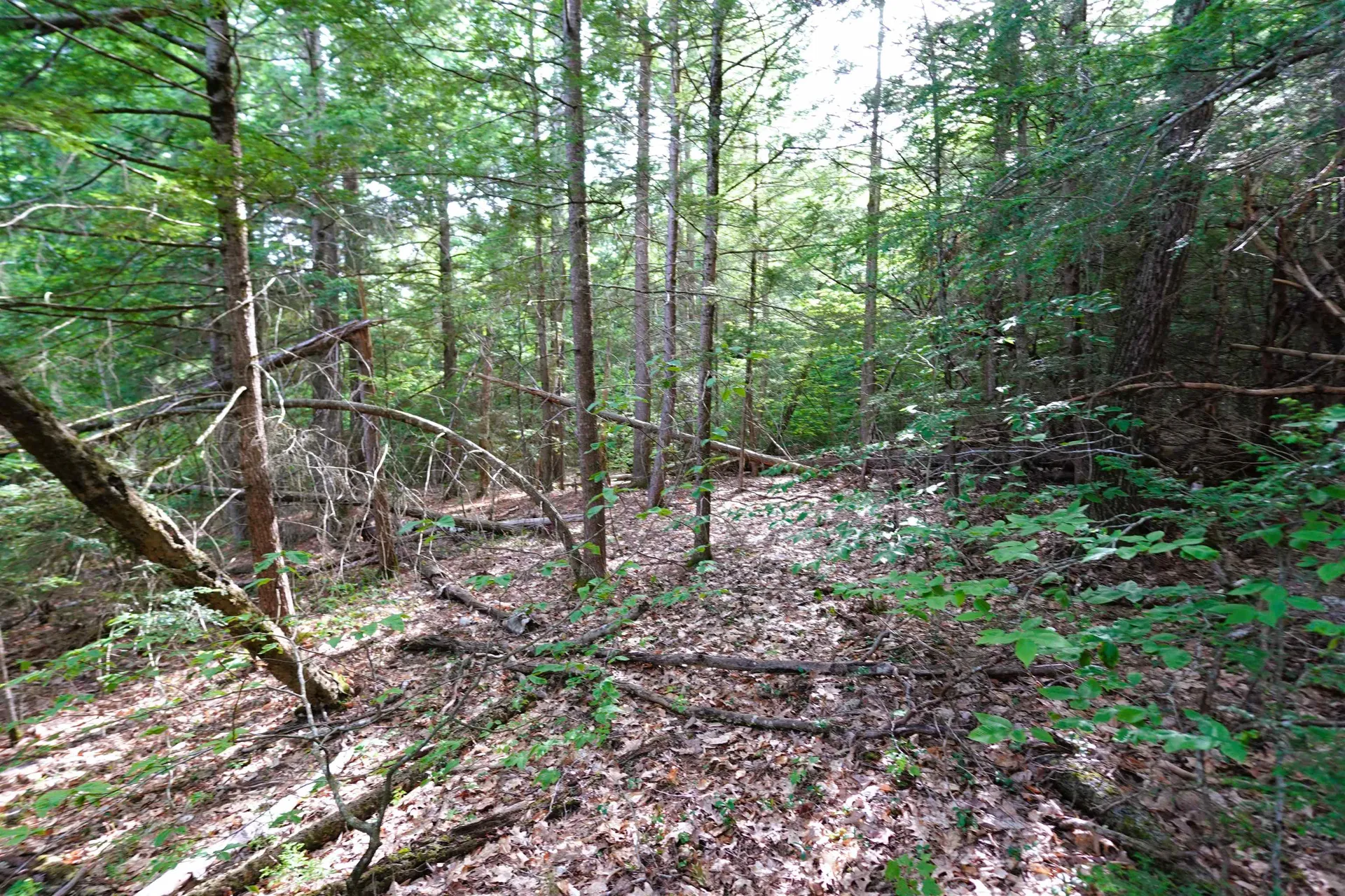 00 Forrest Drive Marlborough NH 03455