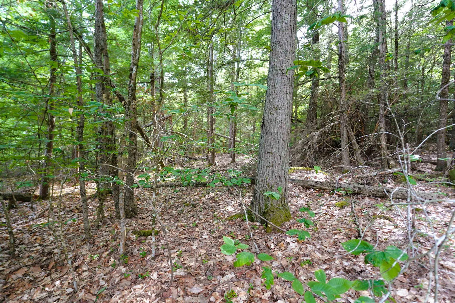 00 Forrest Drive Marlborough NH 03455