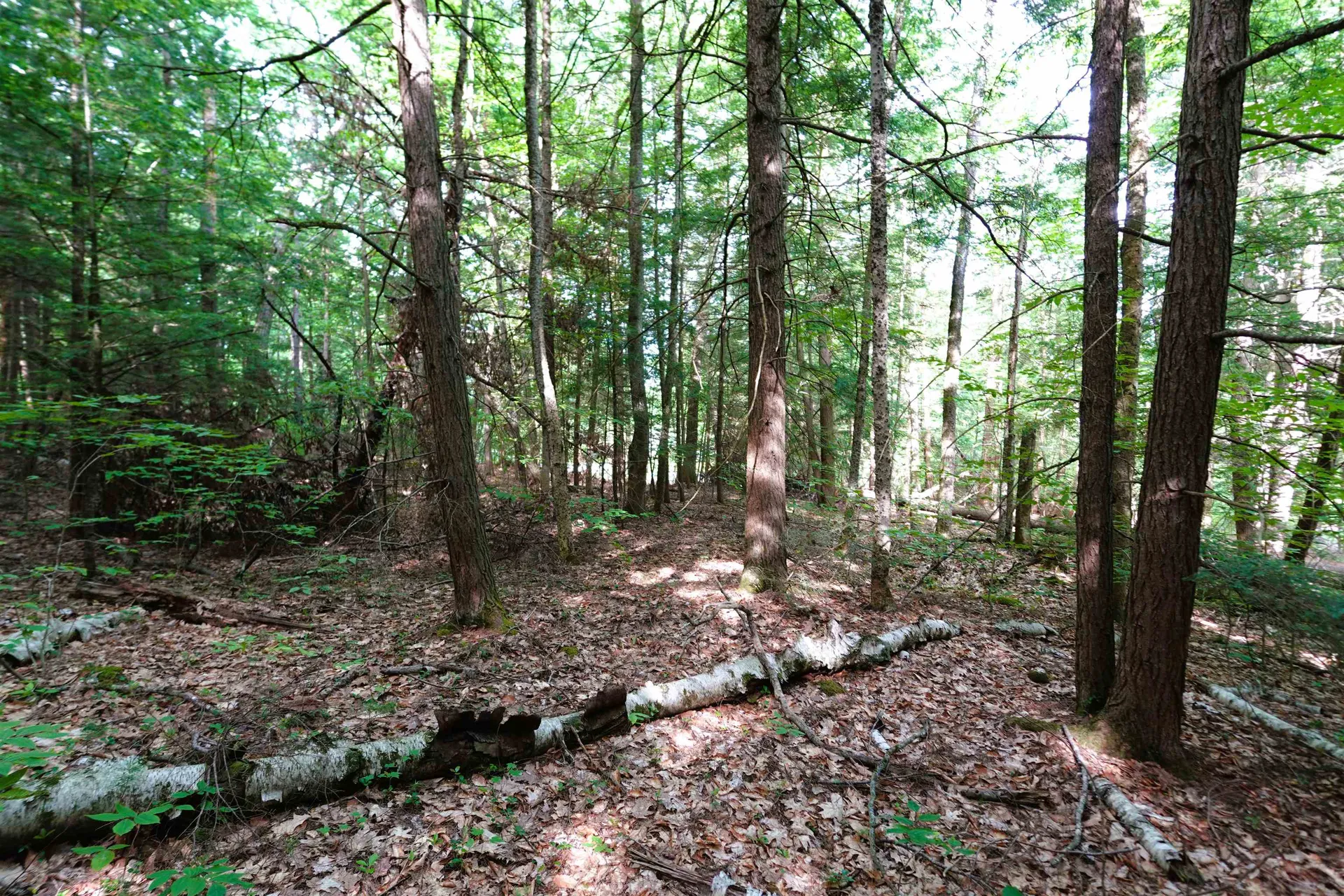 00 Forrest Drive Marlborough NH 03455