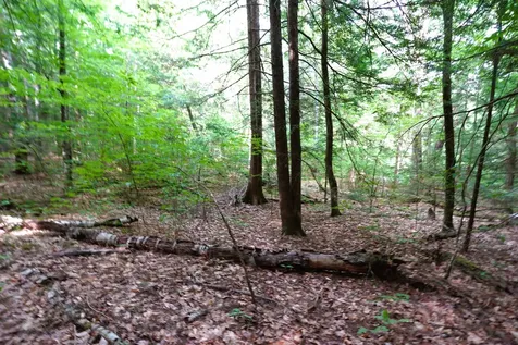 00 Forrest Drive Marlborough NH 03455