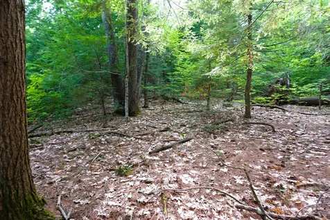 00 Forrest Drive Marlborough NH 03455