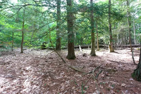 00 Forrest Drive Marlborough NH 03455