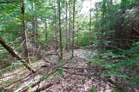00 Forrest Drive Marlborough NH 03455