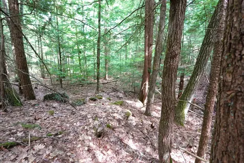 00 Forrest Drive Marlborough NH 03455