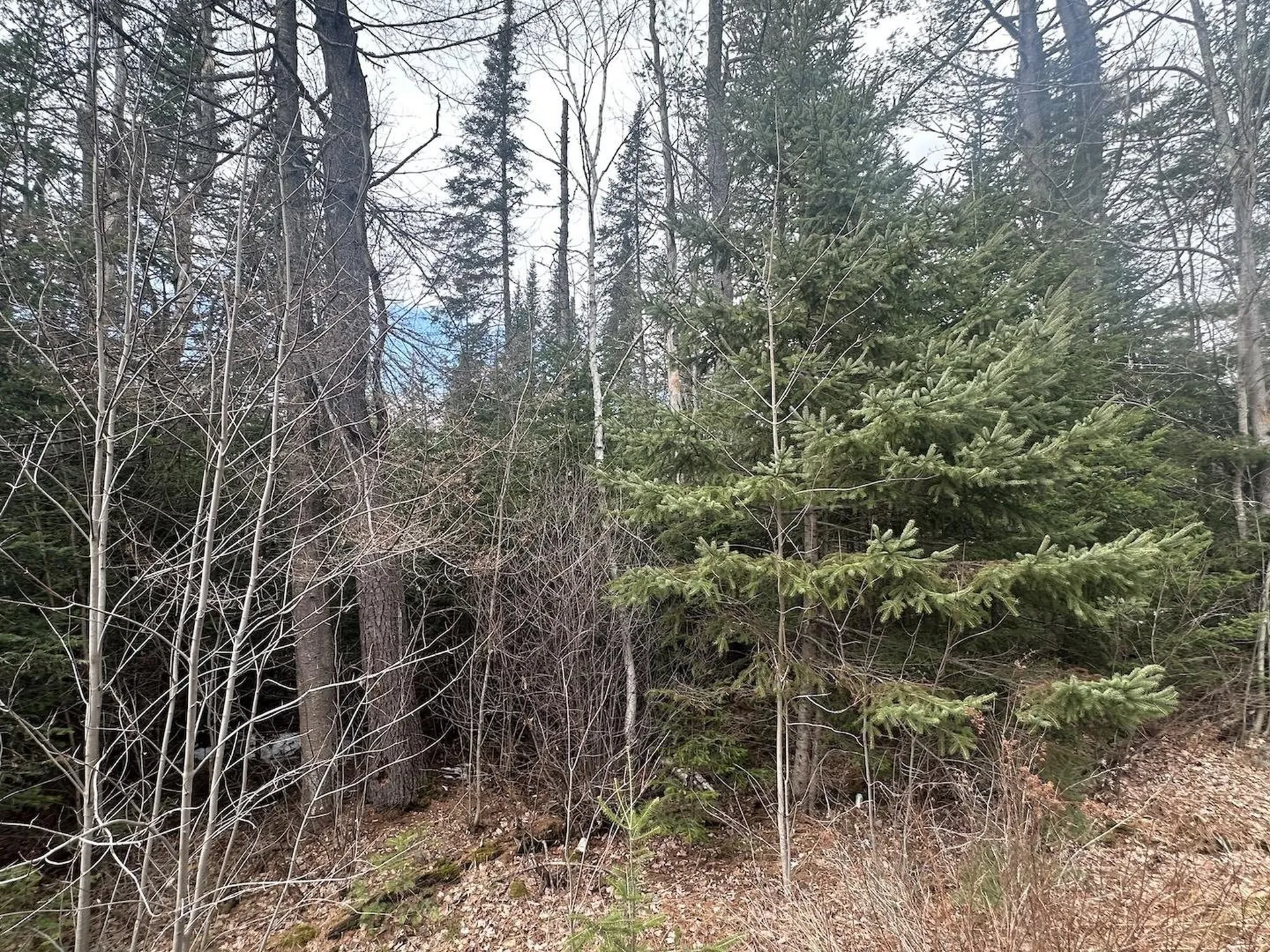 0 North Littleton Road Littleton NH 03561