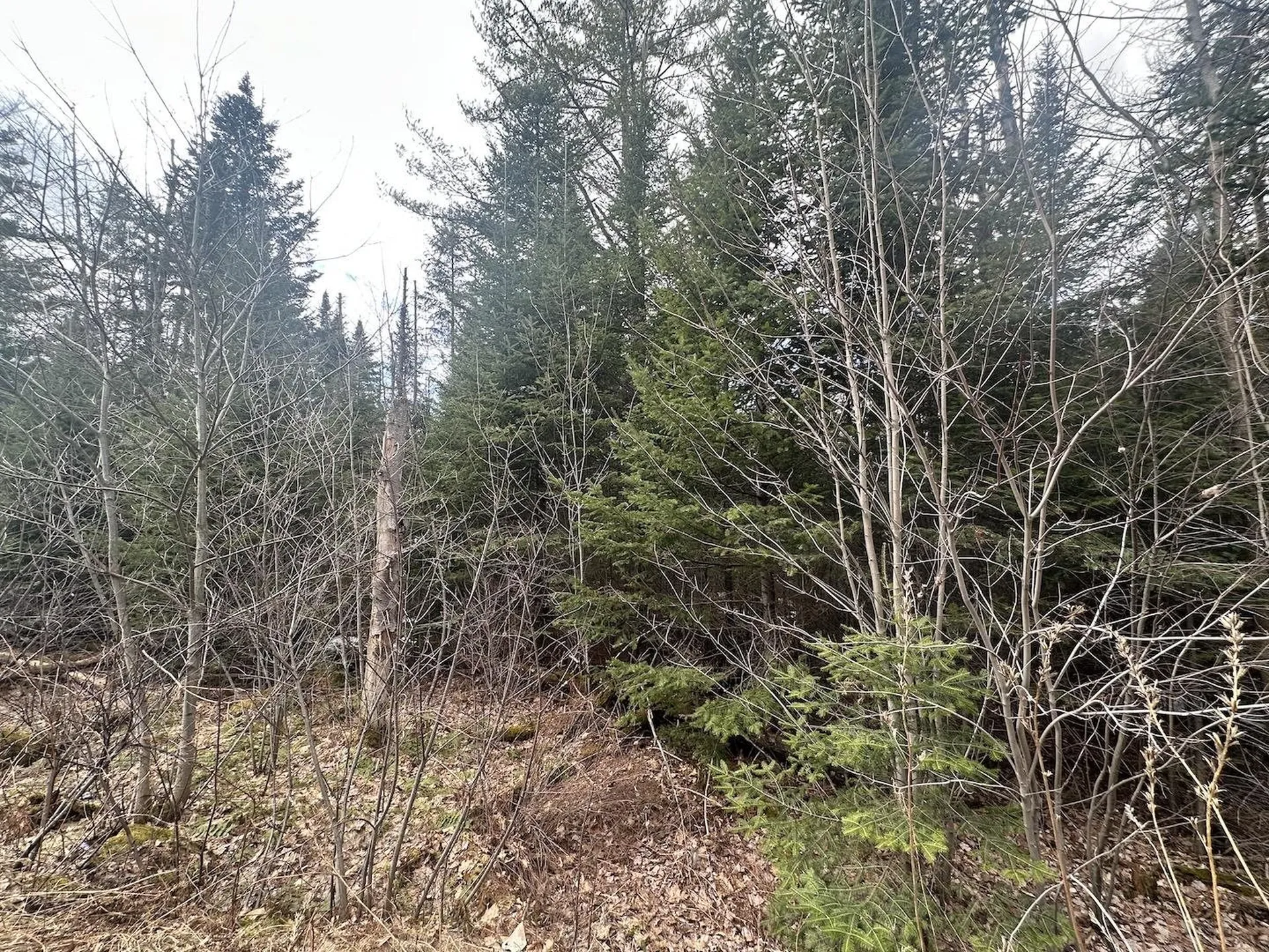 0 North Littleton Road Littleton NH 03561