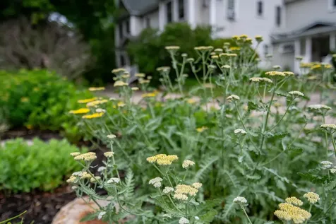 196 East Main Street Conway NH 03818