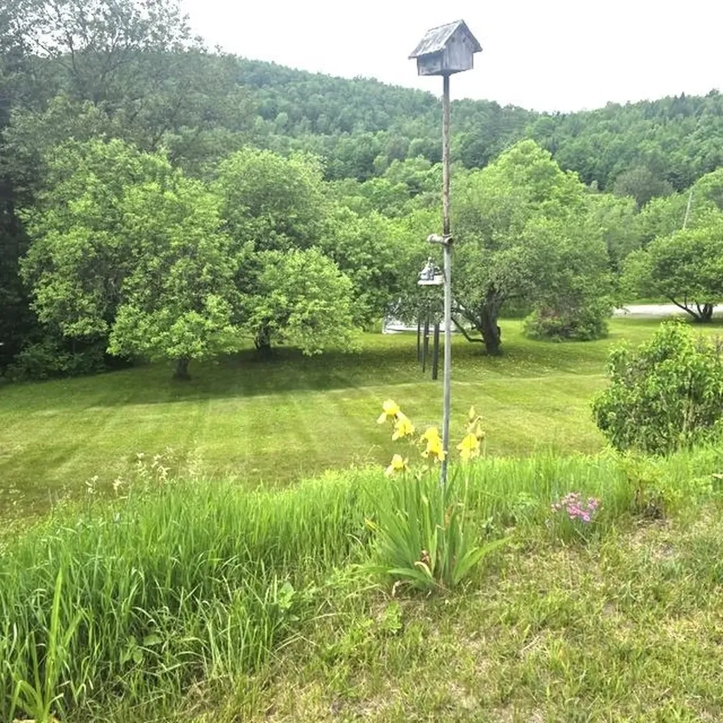 30 Hollow View Drive St. Johnsbury VT 05819