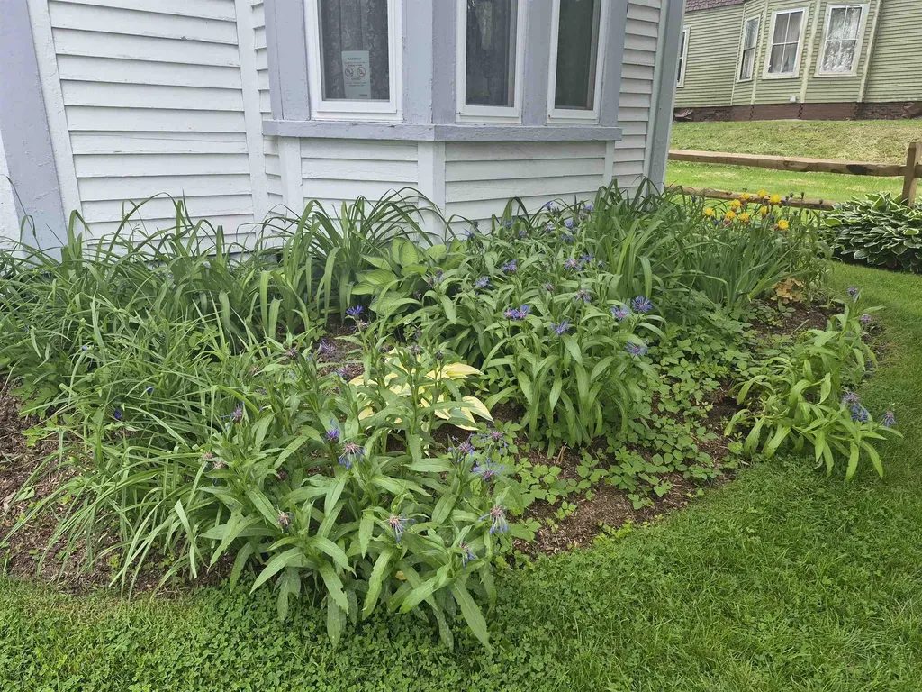 48 Middle Street Lancaster NH 03584