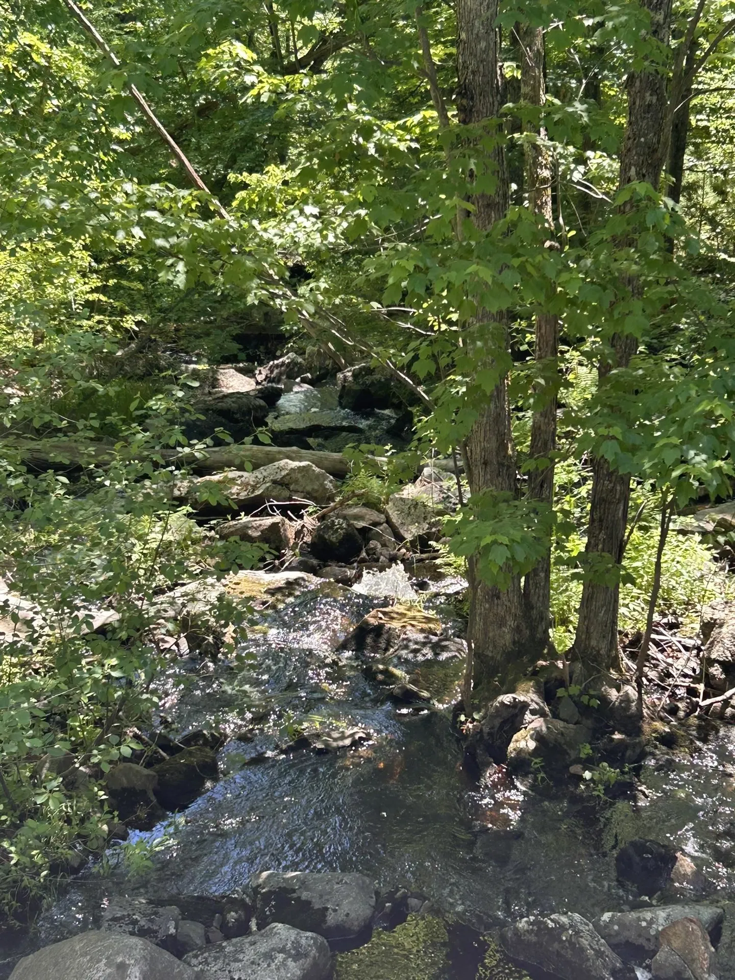 8-22 Coyote Court Barrington NH 03825