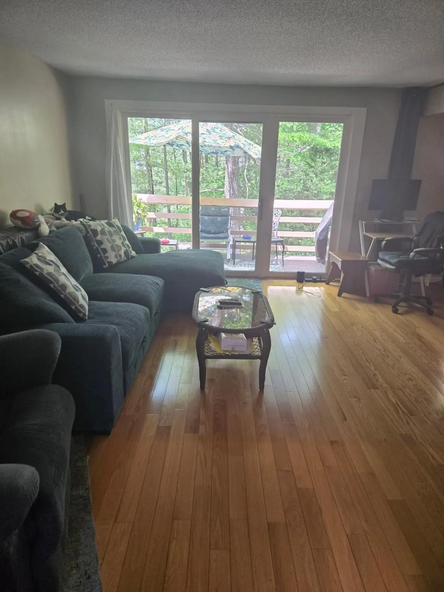 15 Quarry Circle Milford NH 03055