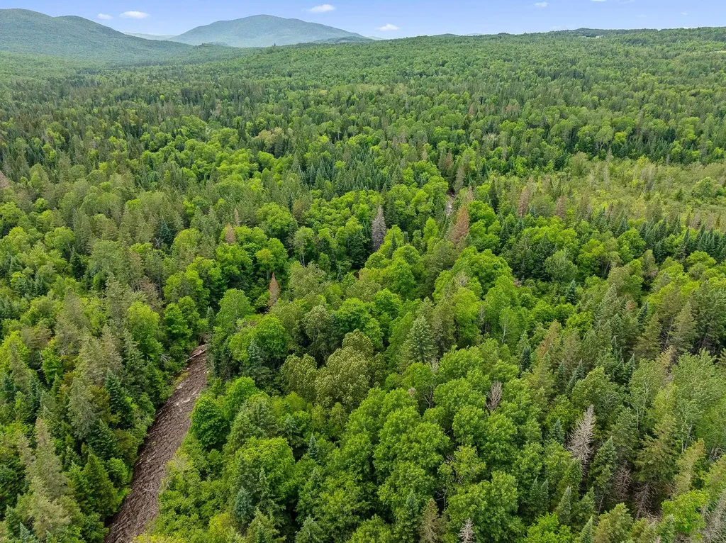 354 Gray Road Columbia NH 03576