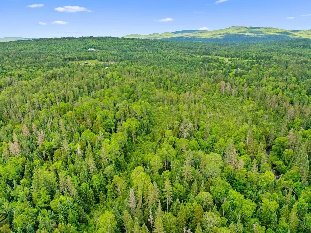 354 Gray Road Columbia NH 03576