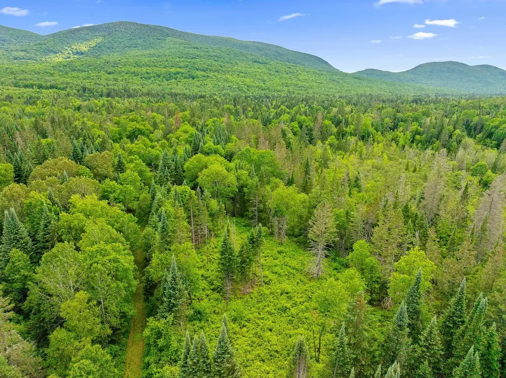 354 Gray Road Columbia NH 03576