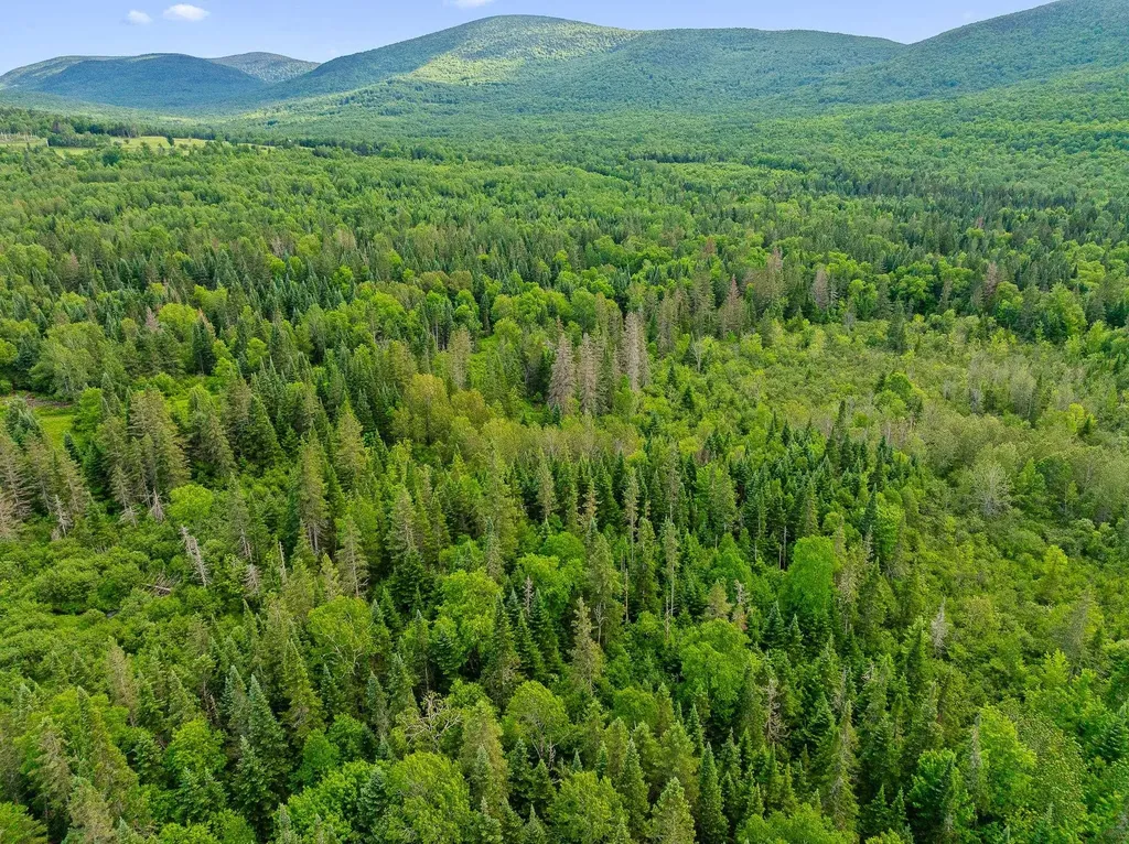 354 Gray Road Columbia NH 03576