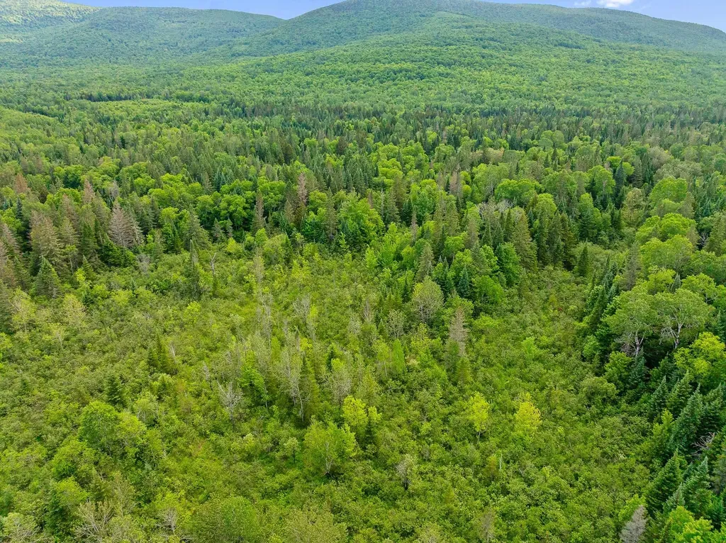 354 Gray Road Columbia NH 03576