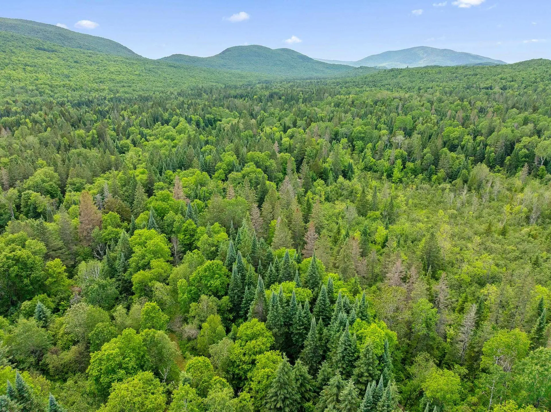 354 Gray Road Columbia NH 03576