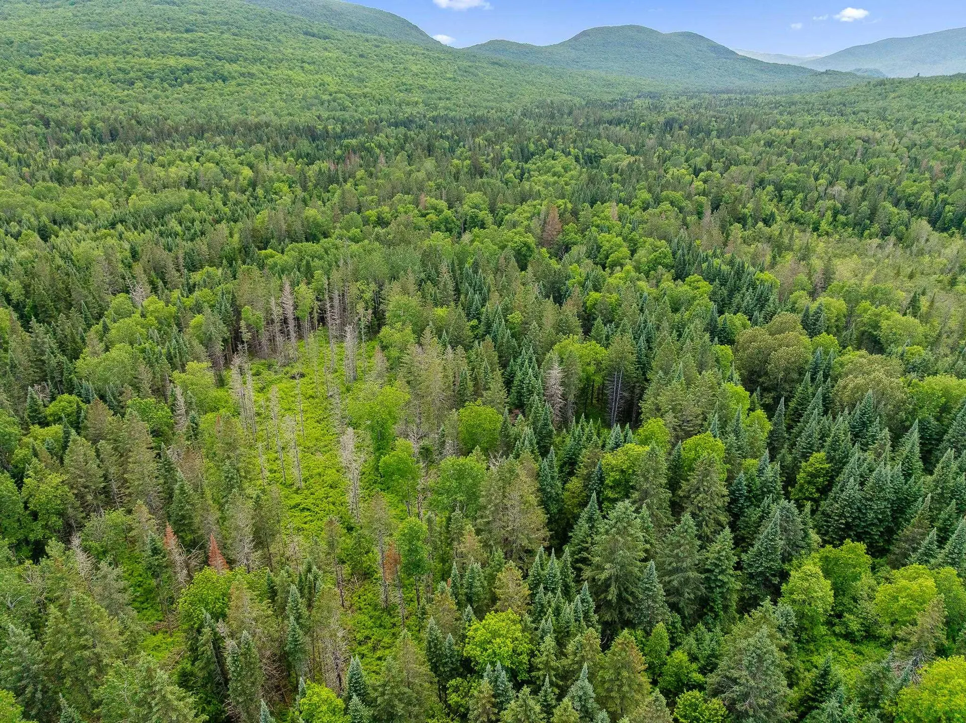 354 Gray Road Columbia NH 03576