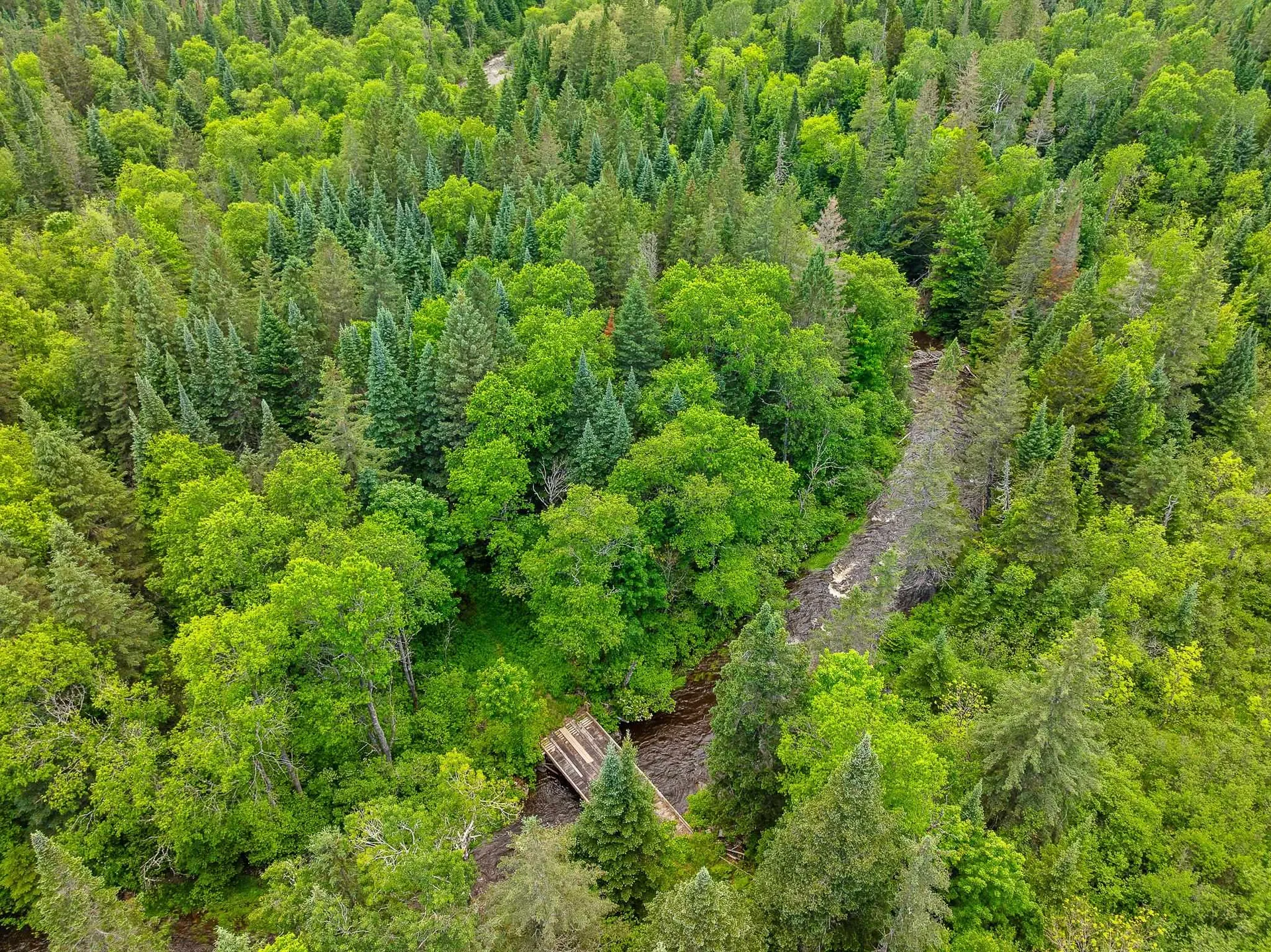 354 Gray Road Columbia NH 03576