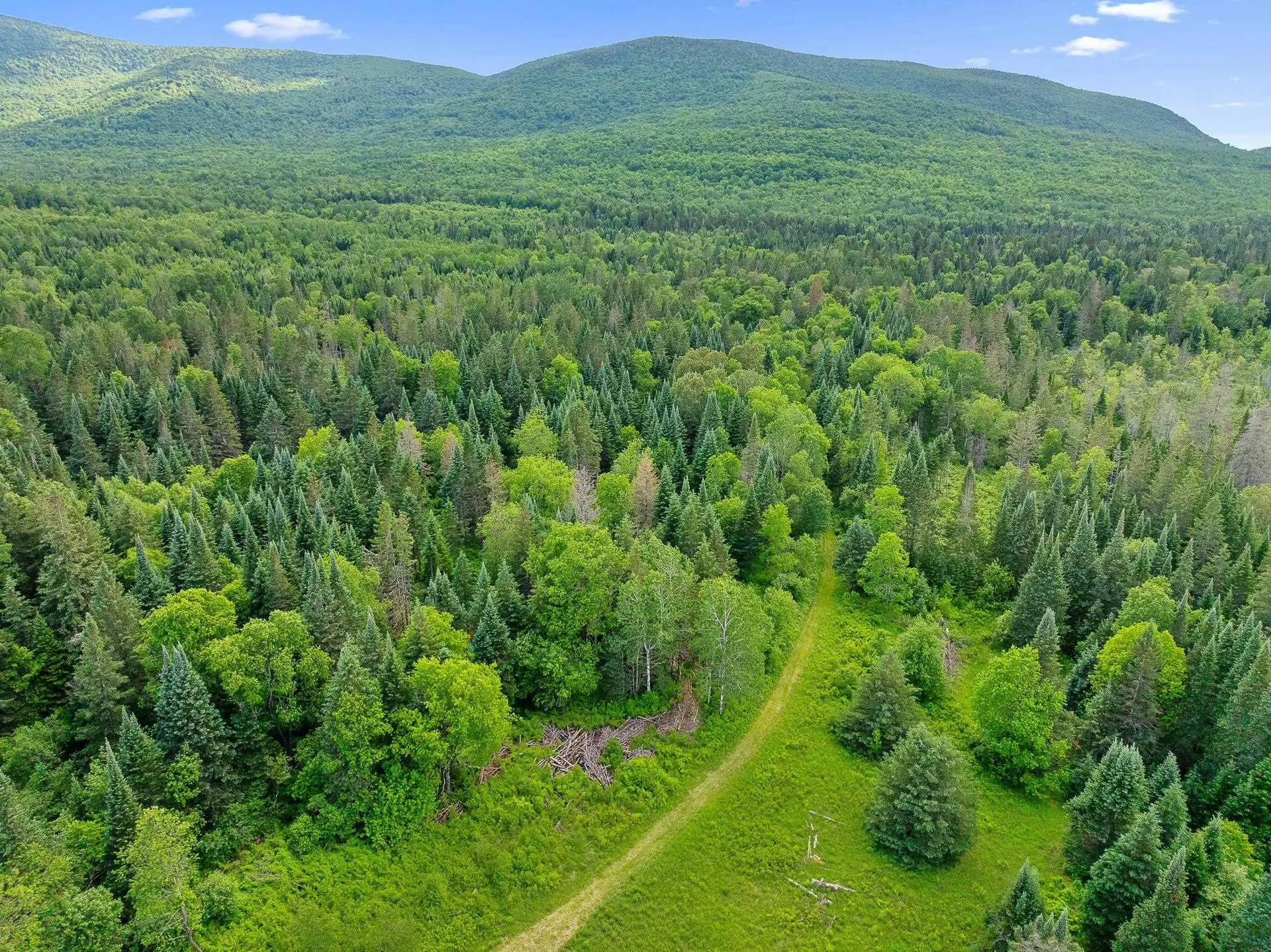 354 Gray Road Columbia NH 03576