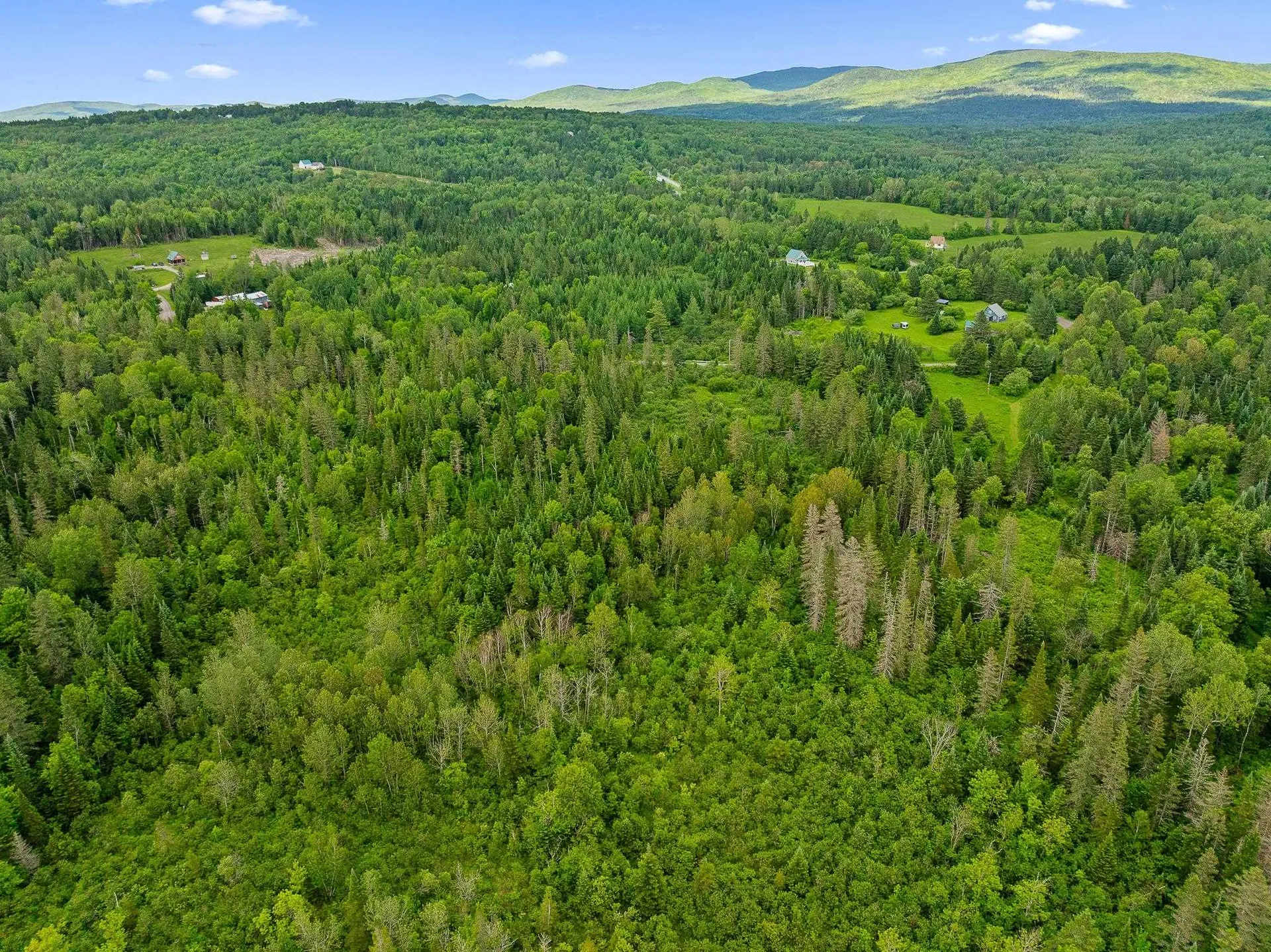 354 Gray Road Columbia NH 03576