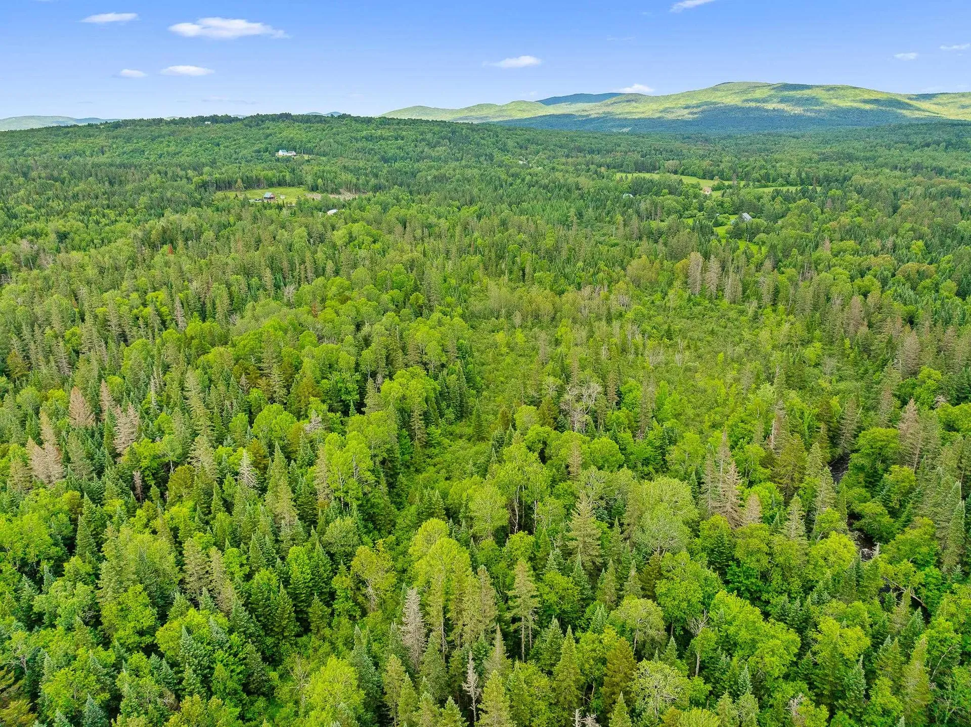354 Gray Road Columbia NH 03576