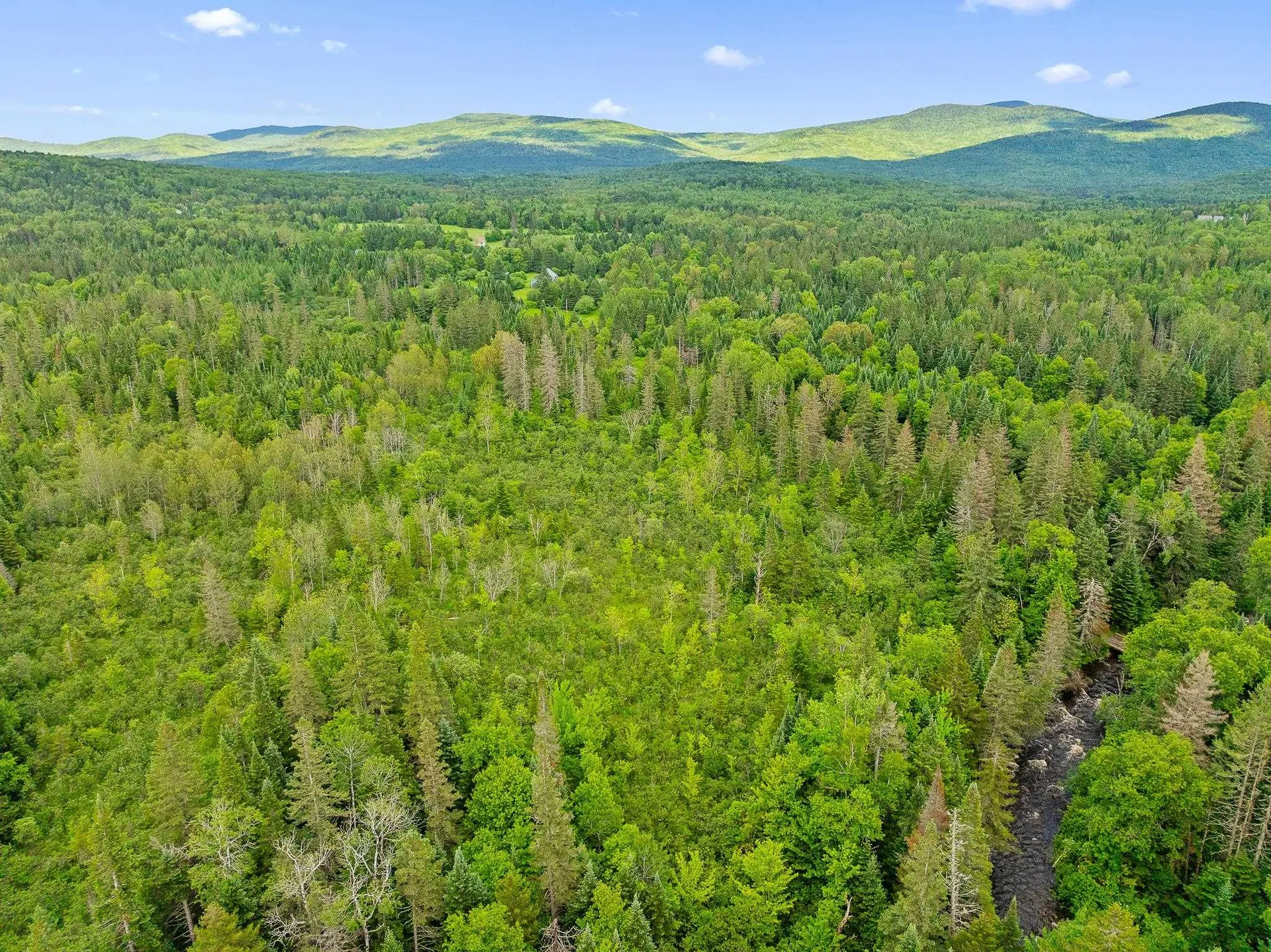 354 Gray Road Columbia NH 03576