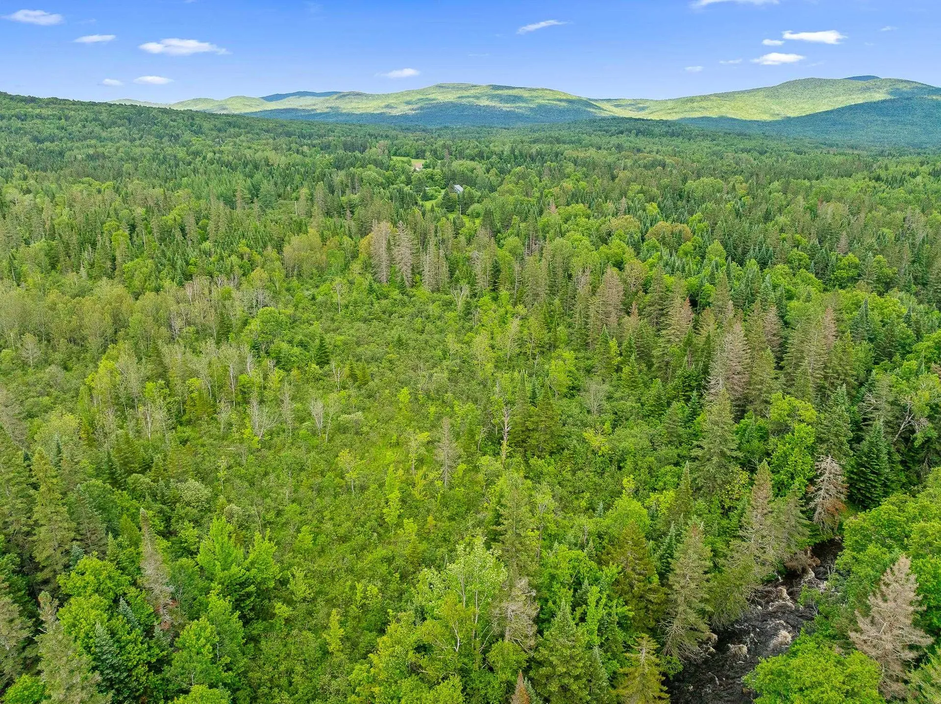 354 Gray Road Columbia NH 03576