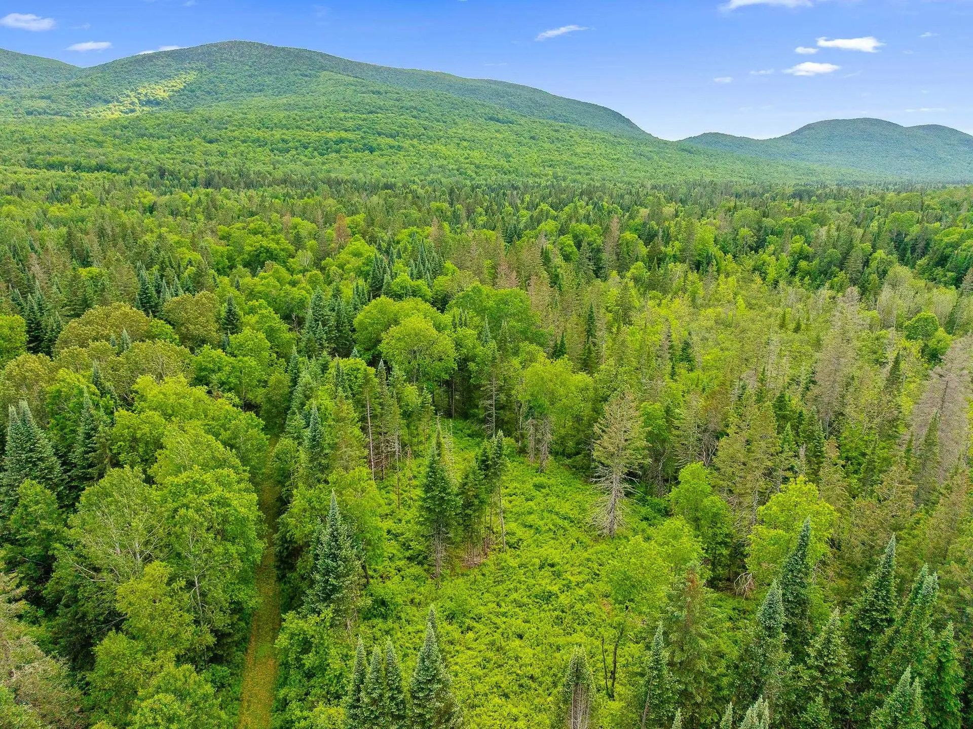 354 Gray Road Columbia NH 03576