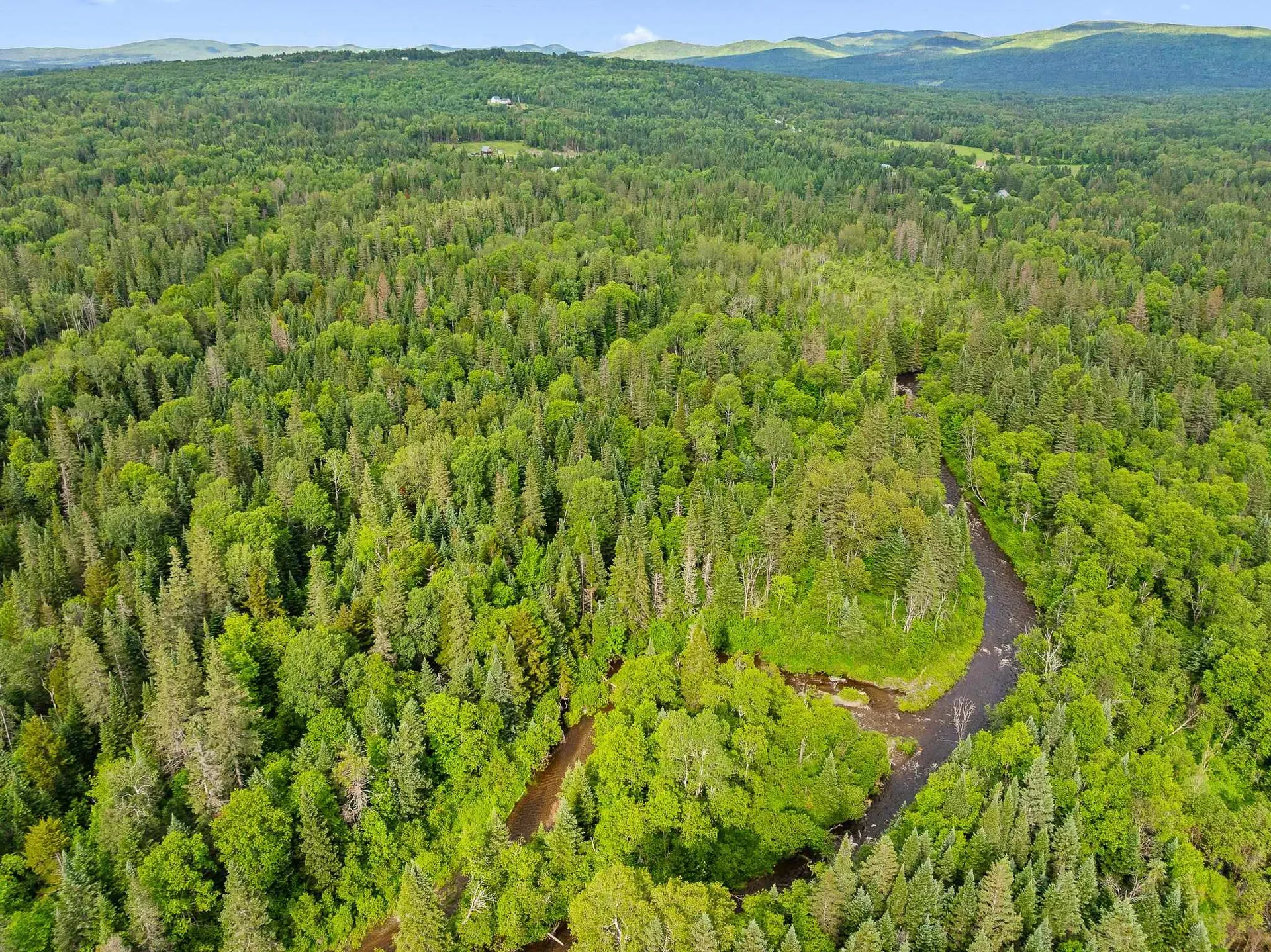 354 Gray Road Columbia NH 03576