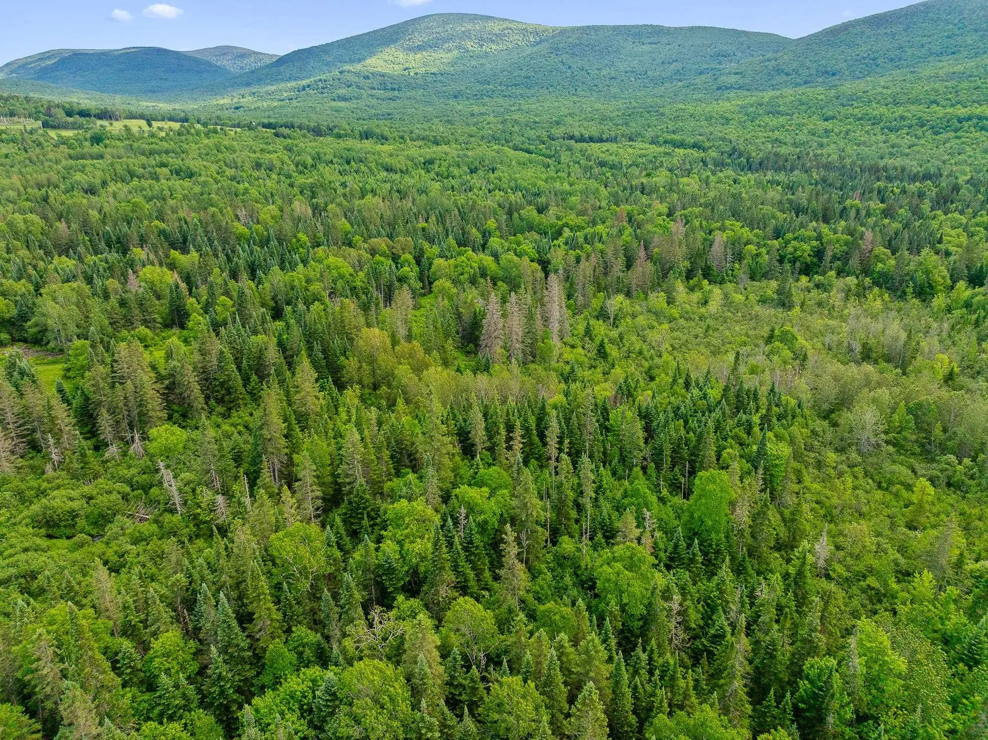 354 Gray Road Columbia NH 03576