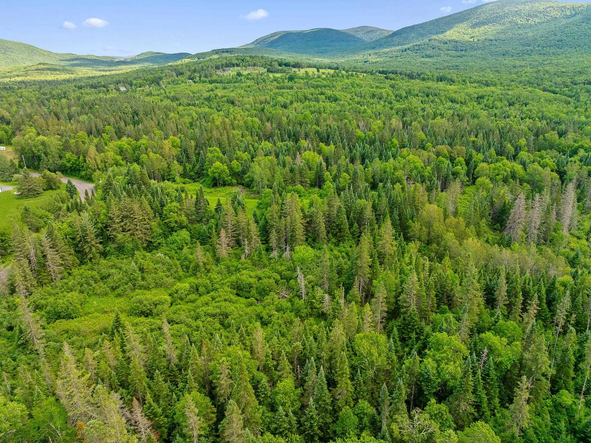 354 Gray Road Columbia NH 03576