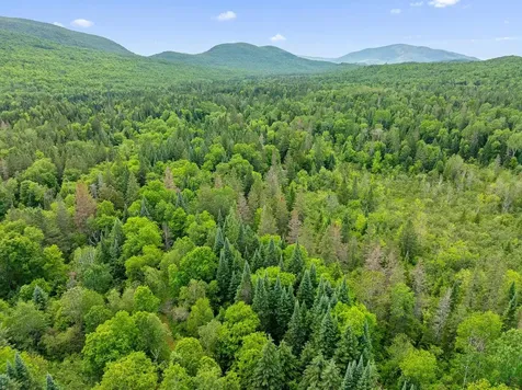 354 Gray Road Columbia NH 03576