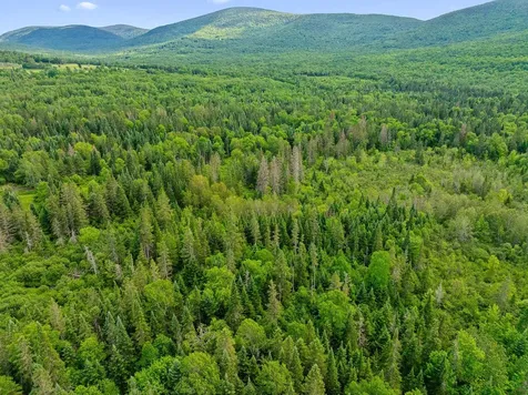 354 Gray Road Columbia NH 03576